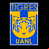 Tigres